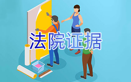 法院證據(jù)